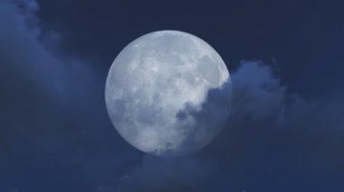 Dolunay arka plan ile uçan mitolojik ejderha