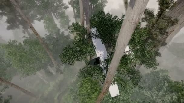 Разбившийся самолет на деревьях — стоковое видео