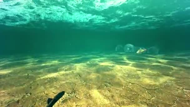 Mergulho no oceano — Vídeo de Stock