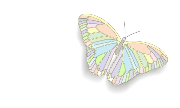 Papillon vecteur — Image vectorielle