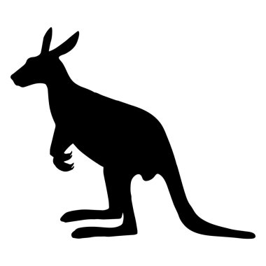 Kanguru simge vektör