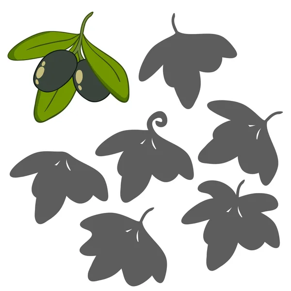 Oliven mit Blättern — Stockvektor