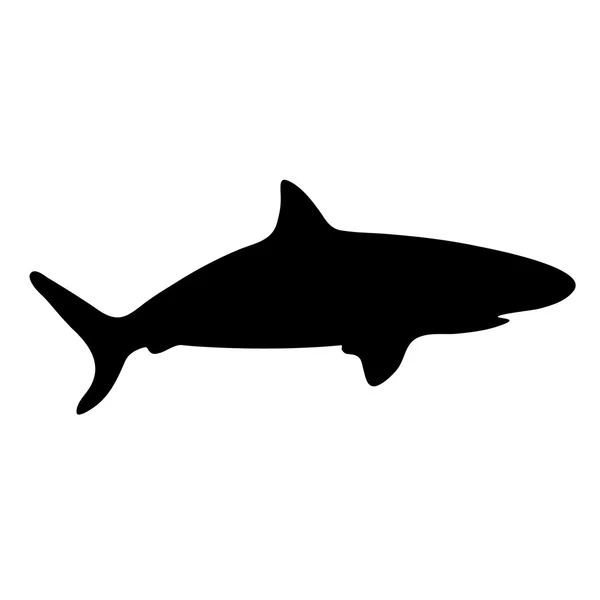 Siluet köpekbalığı — Stok Vektör