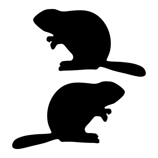 Beaver silhouet — Stockvector