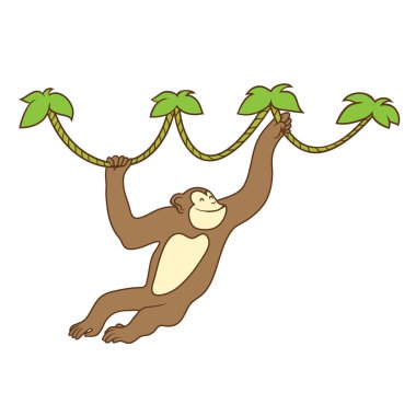 maymun liana üzerinde