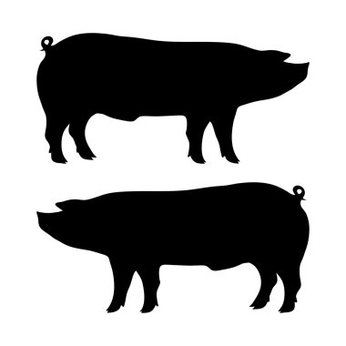 domuz siluet
