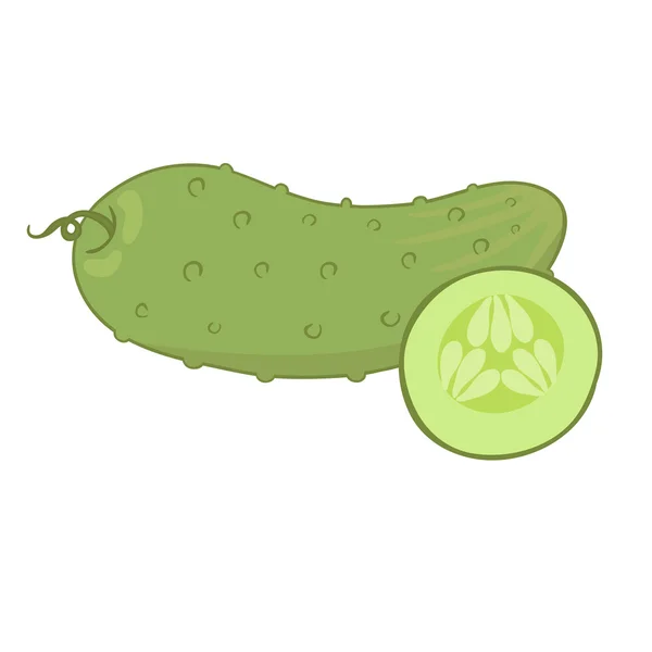 Fresh cucumber — Stock Vector