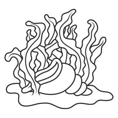 yosun içinde deniz hayvanı kabuğu