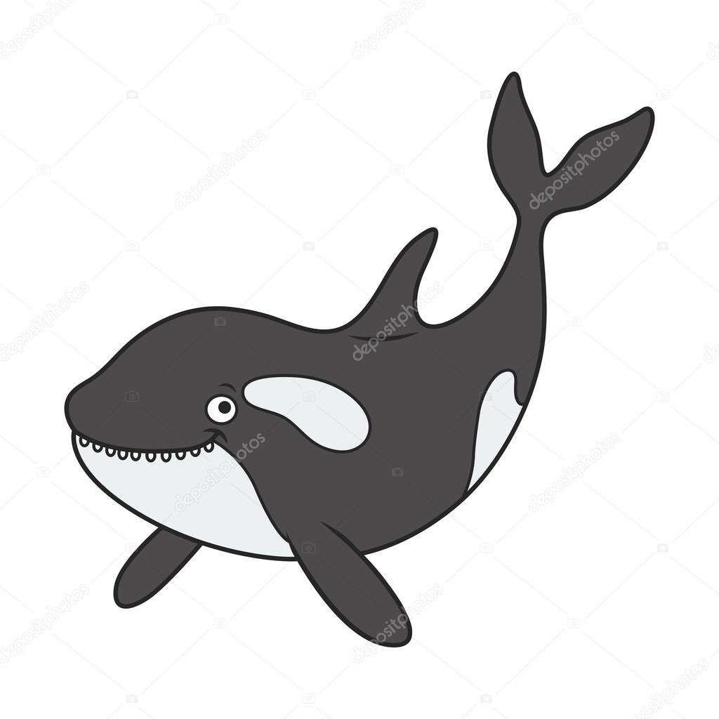 Cartoon killer whale