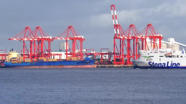 Stena Ferreyは、英国リバプール港のコンテナ処理クレーンを通過します。 — ストック動画