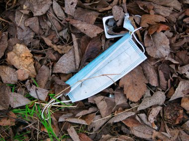 Kırsal bir çalılık tarafından çöp olarak atılan COVID-19 PPE korumasında kullanılan kullanılmış mavi cerrahi maske çevresel kirliliğe neden oluyor.