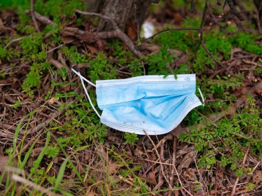 Kırsal bir çalılık tarafından çöp olarak atılan COVID-19 PPE korumasında kullanılan kullanılmış mavi cerrahi maske çevresel kirliliğe neden oluyor.