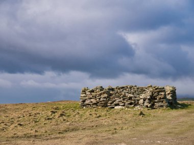 Bulutlu gökyüzüne karşı, terk edilmiş bir Shetland bitkisi - lahana ve diğer sebzeler yetiştirmek için ağır havadan korunmak için kullanılan geleneksel bir kuru taş muhafaza.