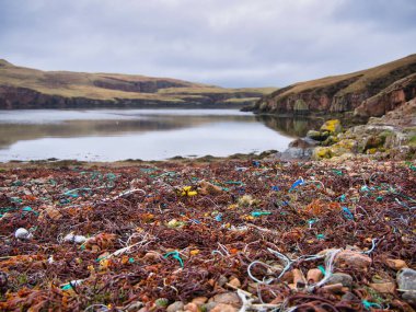 Plastik atıklar ve kirlilik İngiltere 'nin Shetland kentindeki Muckle Roe' daki South Ham plajında karaya vurdu.