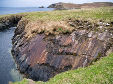 Ness of Hillswick, Northmavine, Shetland, İngiltere 'deki sahil kayalıkları üzerine yerleştirilmiş kaya tabakası.