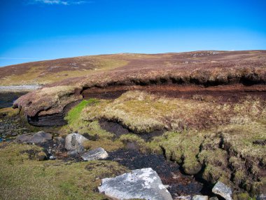 Luna Ness, Shetland, İngiltere 'deki kıyı sulak alanlarında eski turba kazılarından kaynaklanan turba erozyonu ve kaybı. Güneşli bir günde çekilen açık mavi gökyüzü.