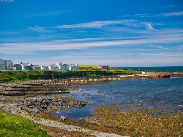 Groynes Falochrony Rozciągające Się Morza Podczas Odpływu Zatoce Portballintrae Antrim — Zdjęcie stockowe