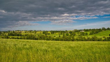 Kuzey İrlanda, İngiltere 'de Markethill County Armagh yakınlarında zengin, yeşil, yuvarlanan tarımsal alanlar. Güneşli bir yaz gününde açık bulutlu panoramik bir manzara..