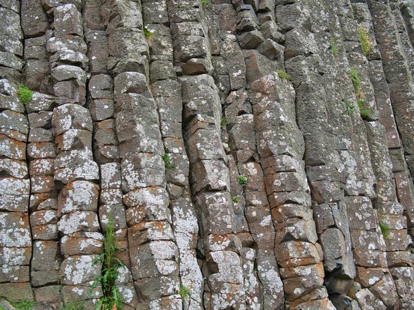 Στήλες Βασάλτη Στο Giants Causeway Στην Ακτή Antrim Βόρεια Ιρλανδία — Φωτογραφία Αρχείου