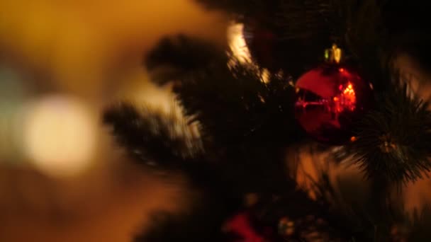 Ένα Πράσινο Χριστουγεννιάτικο Δέντρο Διακοσμημένο Κόκκινες Μπάλες Στέκεται Στο Φόντο — Αρχείο Βίντεο