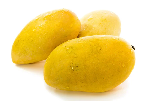 Tres Filipinas Mango — Foto de Stock