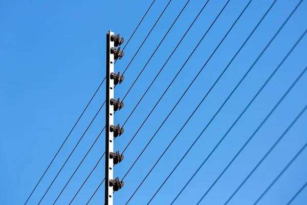 elektrikli çit