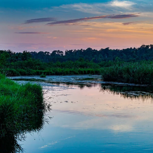 Пряма Річка Під Час Заходу Сонця Віддзеркаленням Окрузі Полк Штат — стокове фото