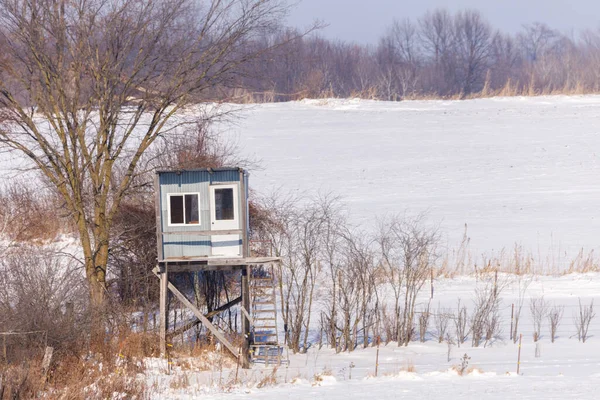 Homemade elevated hunting blind during winter with snow. Selective focus, background blur and foreground blur.