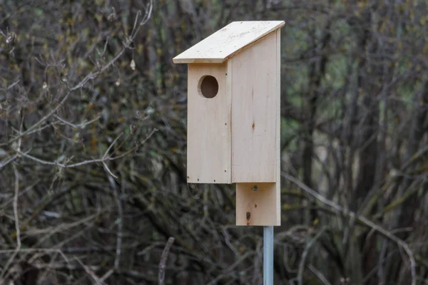 Ručně Vyráběné Dřevo Duck Aix Sponsa Hnízdící Box Nastavit Lesích — Stock fotografie