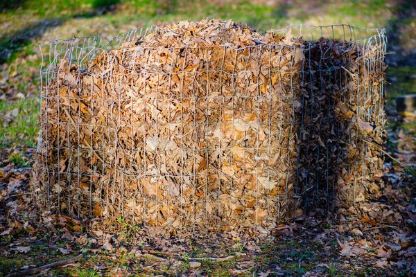 Tel çitlerin üzerinde ölü yapraklar var. Baharın başında bir bahçe için gübre yığını oluşturuyor. Seçici odak, arkaplan bulanıklığı ve ön plan bulanıklığı  