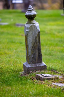 Eski bir mezarlıktaki eski bir mermer mezar taşının dikey görüntüsü ve eski bir mezarlıkta biyolojik büyüme..   