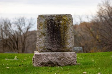 Eski bir mezarlıktaki eski bir mezar taşı ve sonbaharda eski bir mezarlıkta biyolojik büyüme..   