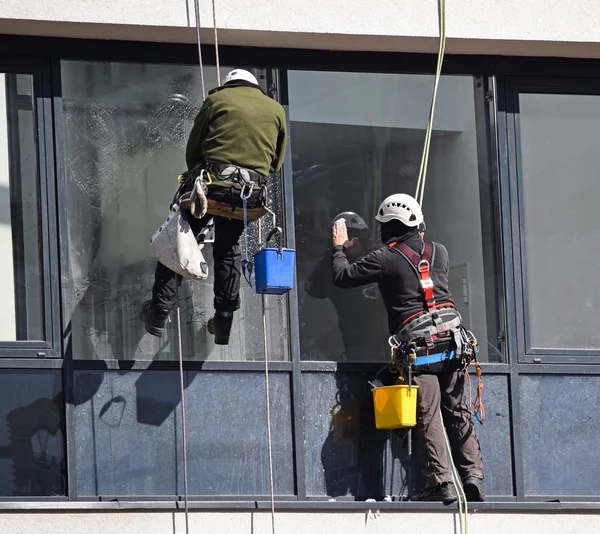 Limpiadores de ventanas en el trabajo —  Fotos de Stock