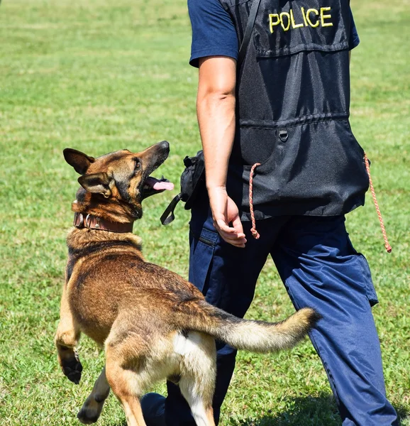 Police man with his dog — Stock Photo, Image