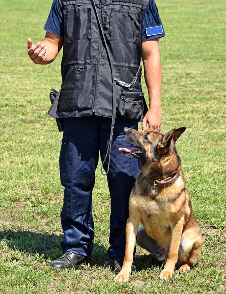 Polisen mannen med sin hund — Stockfoto