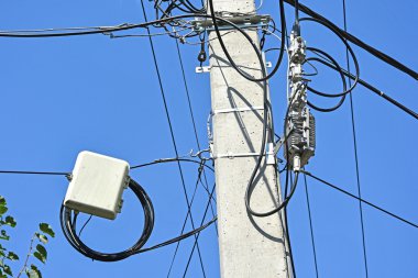 Internet elektrik prizine kabloları kutup