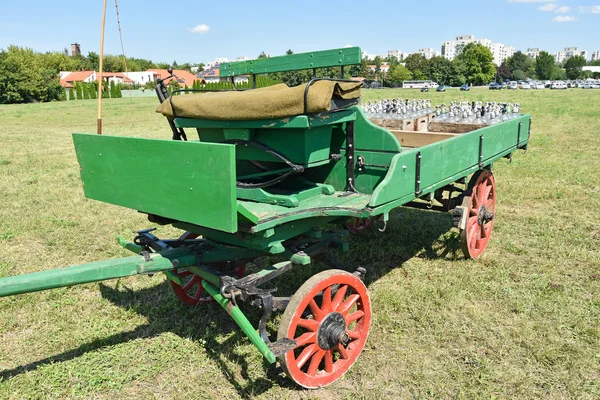 Hästdragen vagn på ängen — Stockfoto