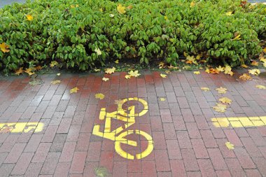 Sonbahar zamanı şehirde bisiklet yolu