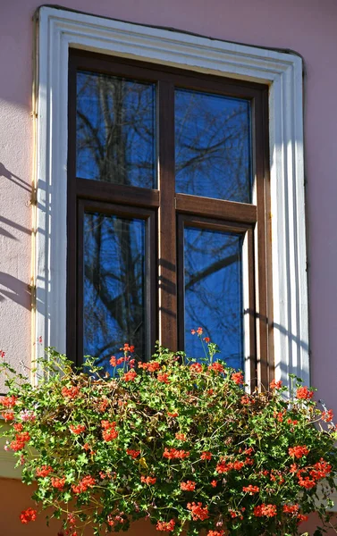 Blumen Fenster Eines Hauses — Stockfoto