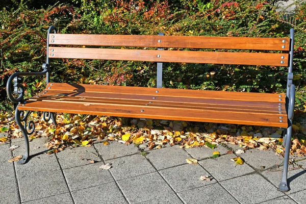 Sonbahar zamanında park bankında