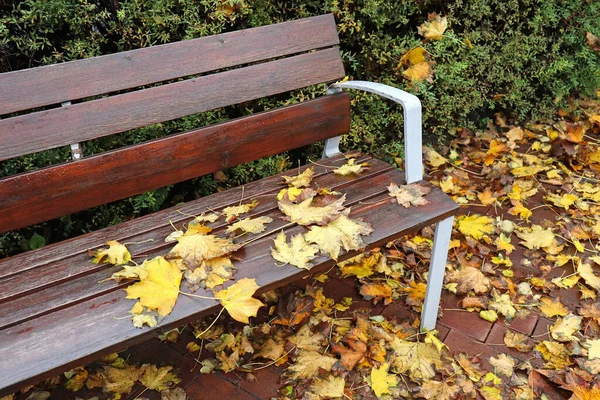 Park Bench Autumn Time — Stock Photo, Image