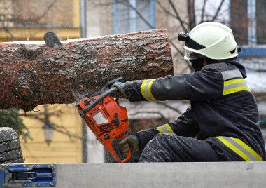İtfaiyeci elektrikli testereyle çam ağacını keser.