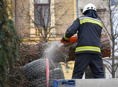 İtfaiyeci elektrikli testereyle çam ağacını keser.