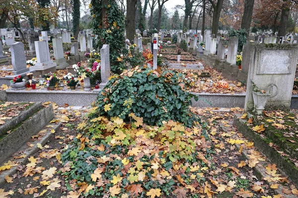 Tumbas Cementerio Público —  Fotos de Stock