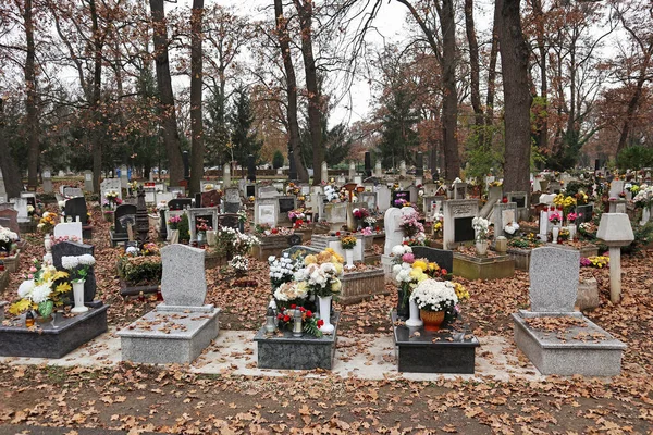 Tombstones Public Cemetery — Stock Photo, Image