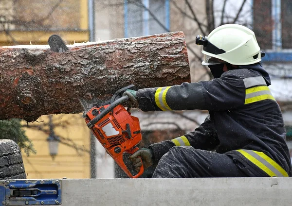 Bombero Corta Pinetree Con Una Motosierra —  Fotos de Stock