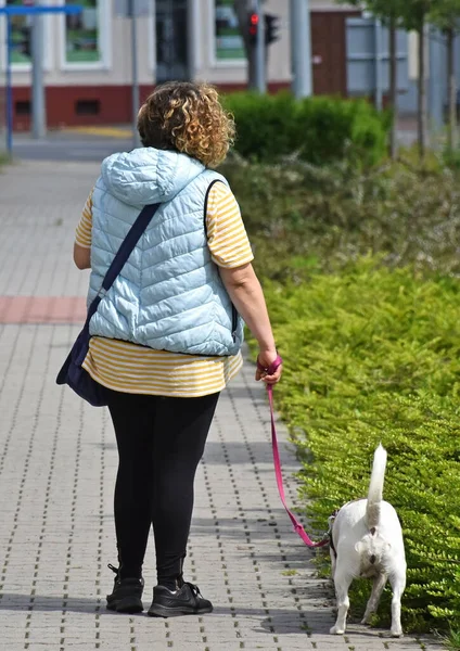Mulher Caminha Rua Com Seu Cachorro — Fotografia de Stock