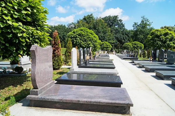 Grafstenen op de begraafplaats Rechtenvrije Stockfoto's
