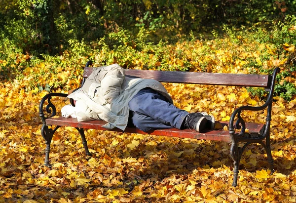 Un vagabundo duerme en un banco del parque. — Foto de Stock