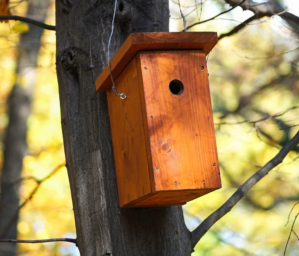 Mangeoire à oiseaux dans un arbre — Photo